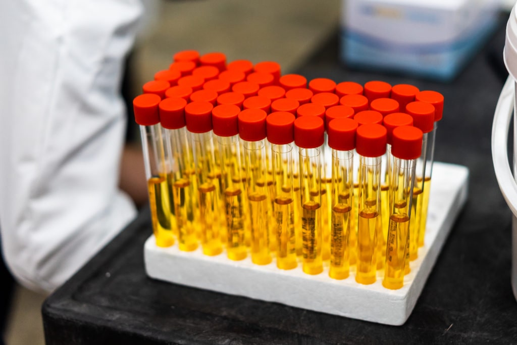 DNA-diagnostic testing equipment